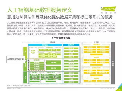中國(guó)人工智能基礎(chǔ)數(shù)據(jù)服務(wù)與行業(yè)應(yīng)用集成服務(wù)雙輪驅(qū)動(dòng)產(chǎn)業(yè)發(fā)展報(bào)告